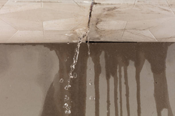 Professional Flood Damage Cleanup technician working in Lambertville, NJ